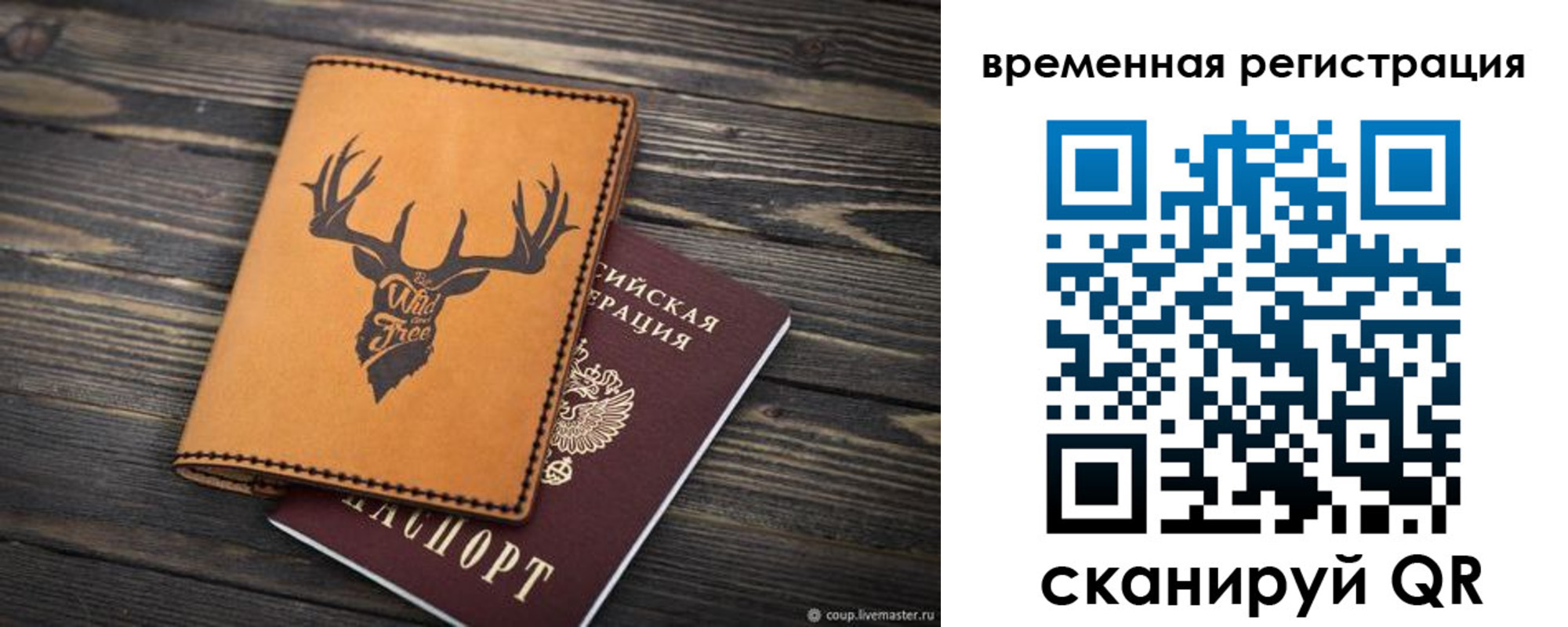 прописка в Красном Куте